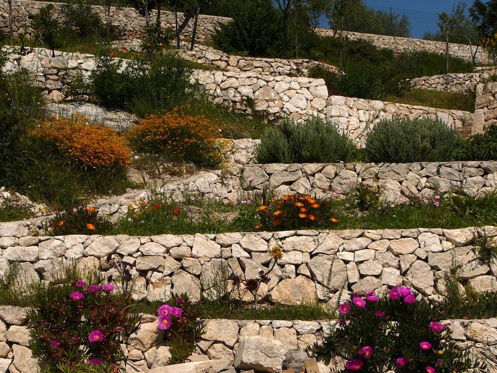 Villa In Gargano - Villa Basso มอนเต ซานตานเจโล ภายนอก รูปภาพ