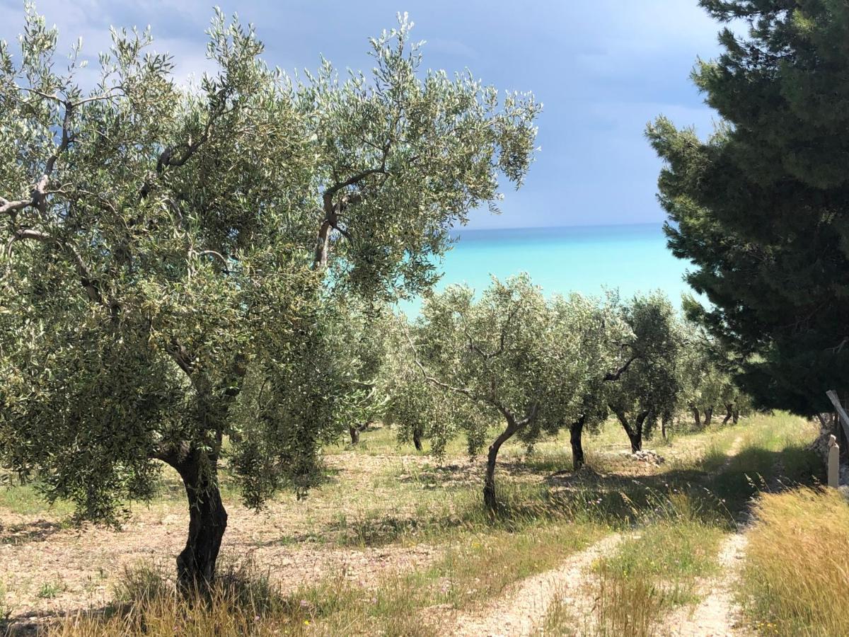 Villa In Gargano - Villa Basso มอนเต ซานตานเจโล ภายนอก รูปภาพ
